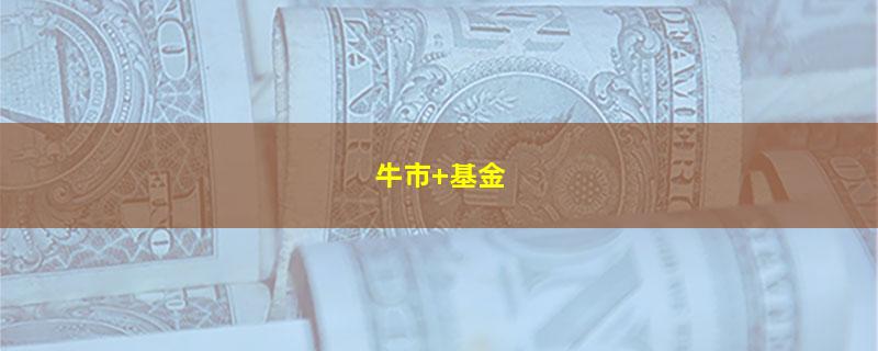 牛市 基金