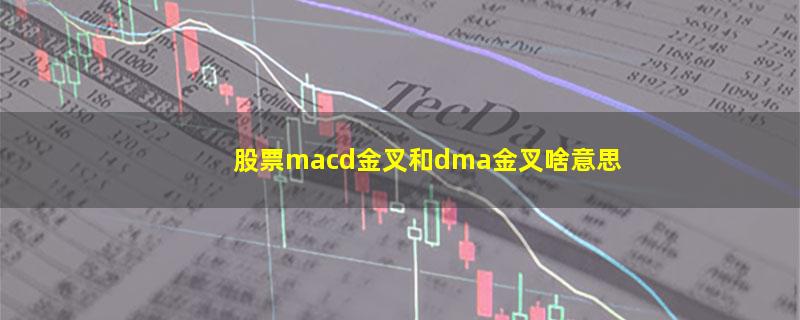 股票macd金叉和dma金叉啥意思