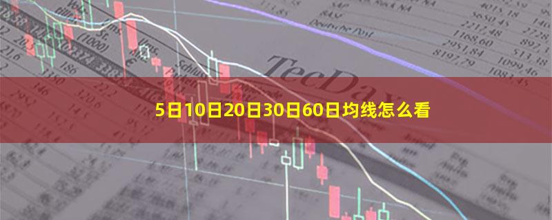 5日10日20日30日60日均线怎么看