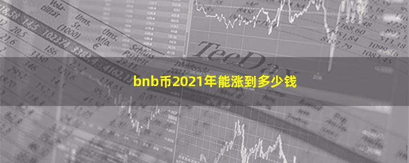 bnb币2021年能涨到多少钱