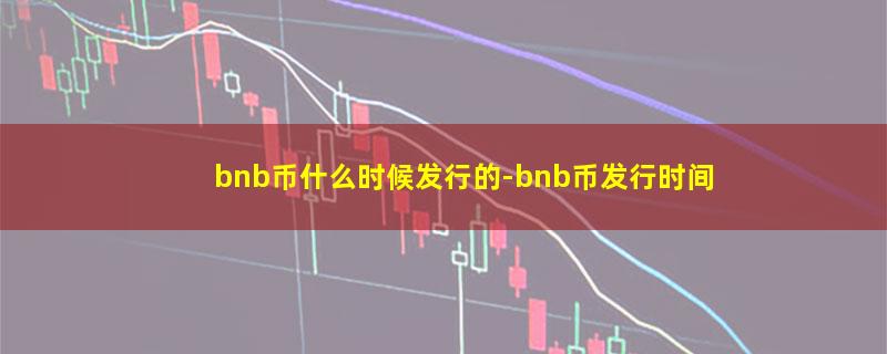 bnb币什么时候发行的.jpg