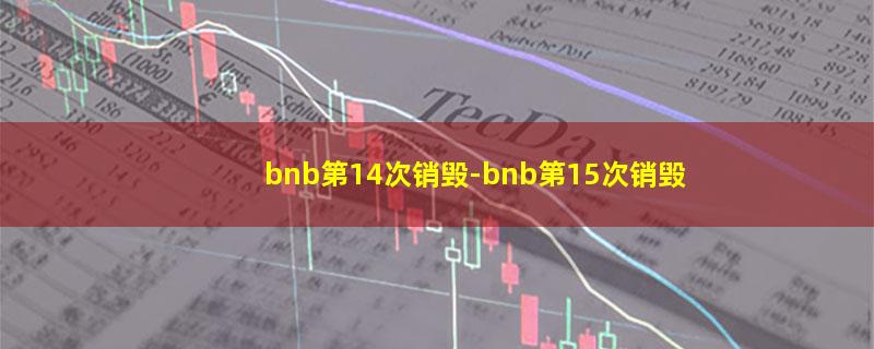 bnb第14次销毁.jpg