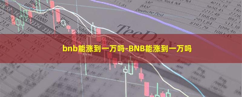 bnb能涨到一万吗.jpg