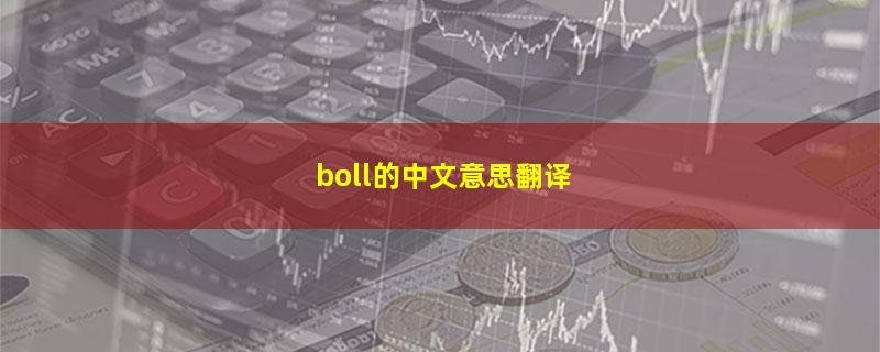 boll的中文意思翻译