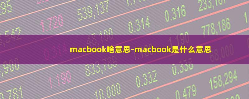 macbook啥意思.jpg