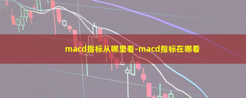 macd指标从哪里看.jpg