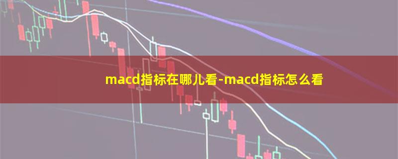 macd指标在哪儿看.jpg