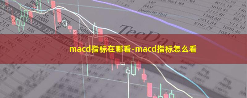 macd指标在哪看.jpg