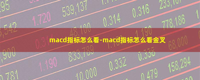 macd指标怎么看.jpg