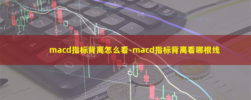 macd指标背离怎么看.jpg