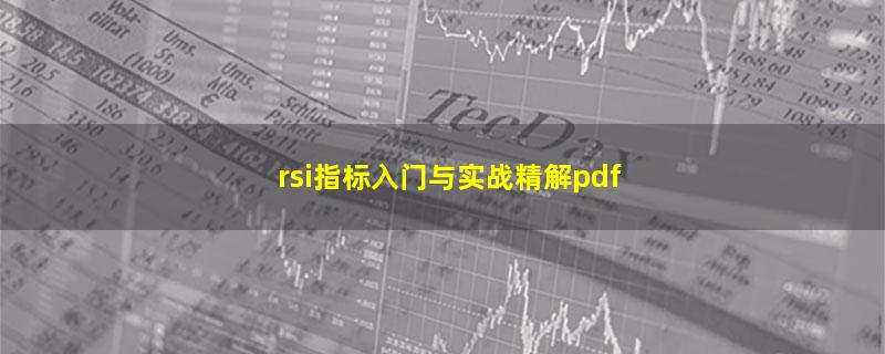 rsi指标入门与实战精解pdf