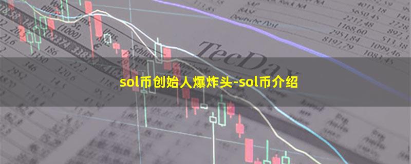 sol币创始人爆炸头.jpg