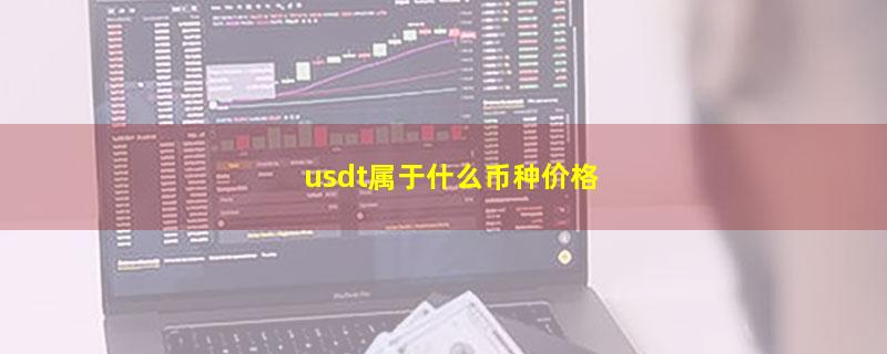 usdt属于什么币种价格