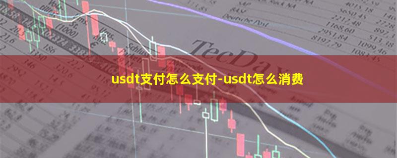 usdt支付怎么支付.jpg