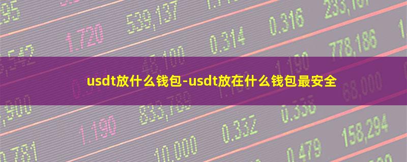 usdt放什么钱包.jpg