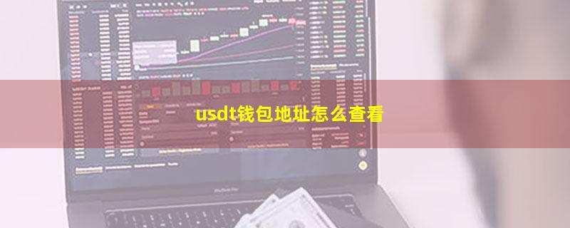 usdt钱包地址怎么查看