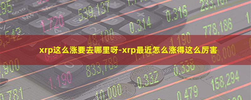 xrp这么涨要去哪里呀.jpg