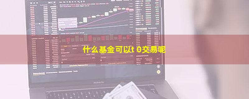 什么基金可以t 0交易呢