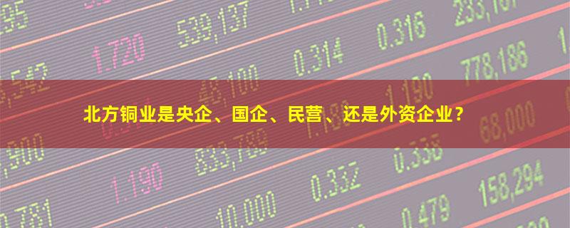 北方铜业.jpg