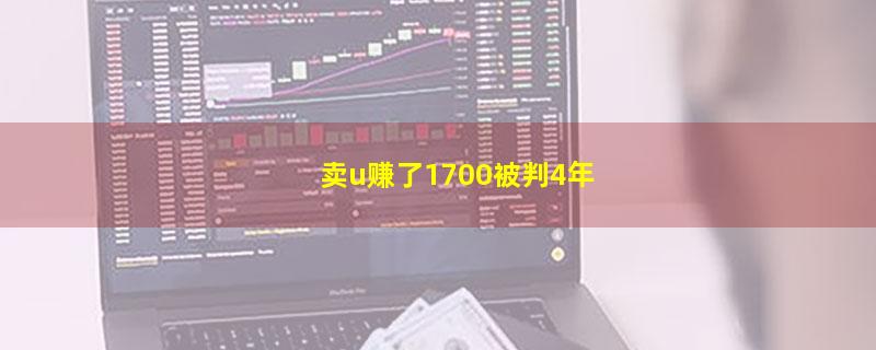 卖u赚了1700被判4年