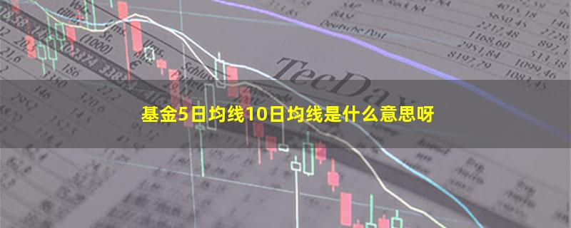 基金5日均线10日均线是什么意思呀