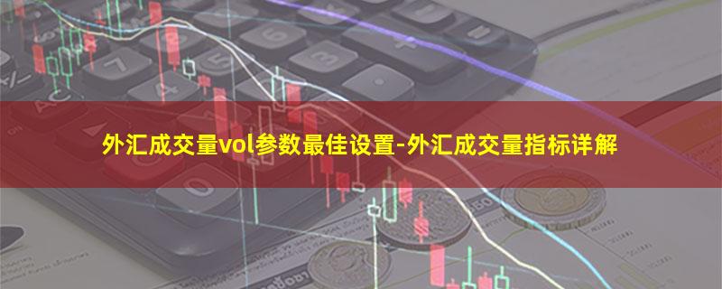 外汇成交量vol参数最佳设置.jpg