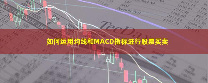 如何运用均线和MACD指标进行股票买卖