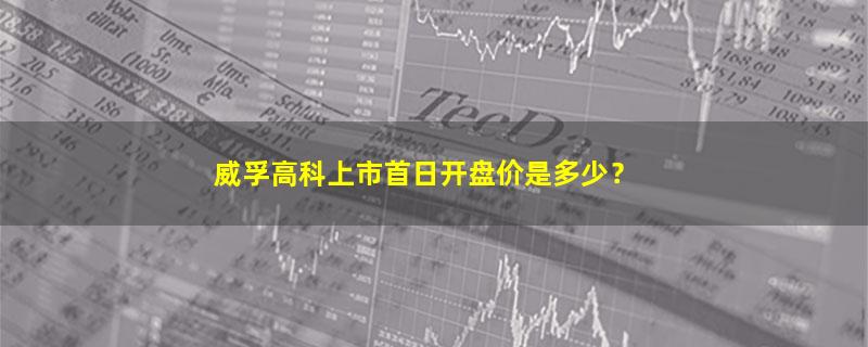 威孚高科.jpg