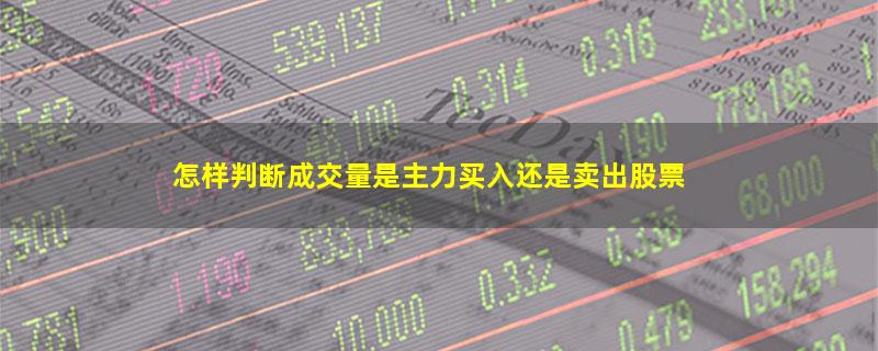 怎样判断成交量是主力买入还是卖出股票