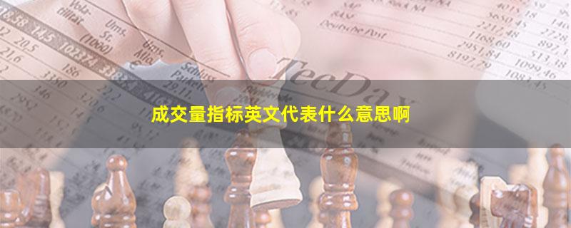 成交量指标英文代表什么意思啊