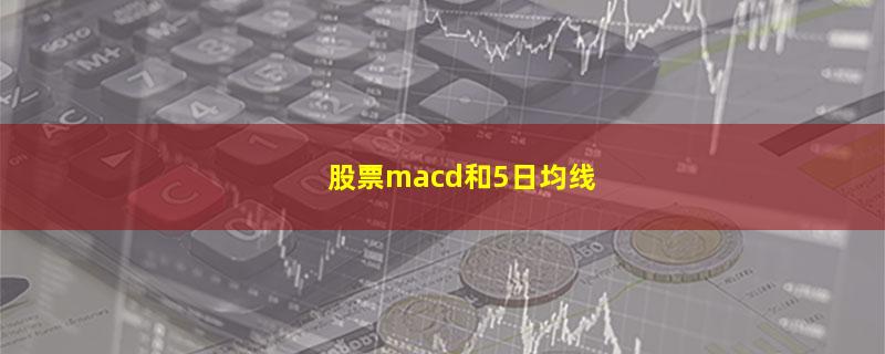 股票macd和5日均线