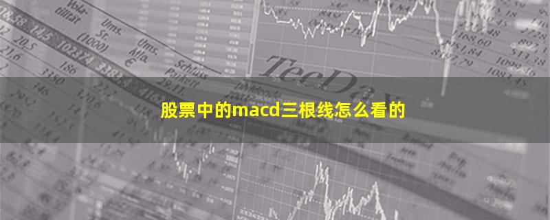 股票中的macd三根线怎么看的