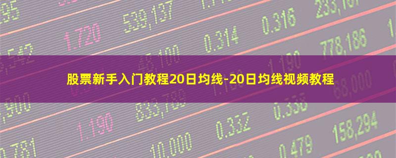 股票新手入门教程20日均线.jpg