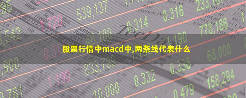 股票行情中macd中,两条线代表什么