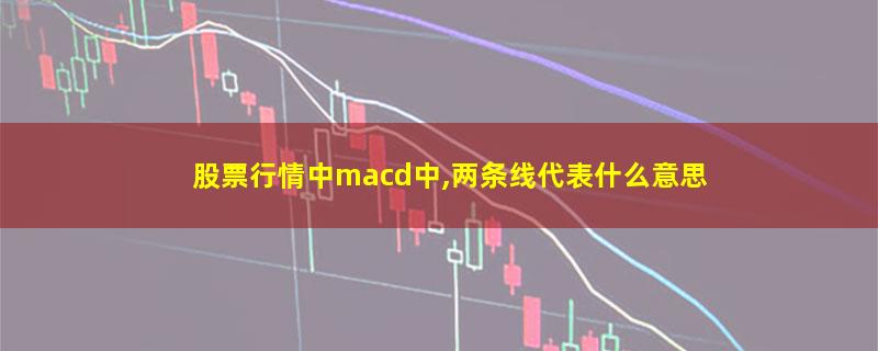 股票行情中macd中,两条线代表什么意思